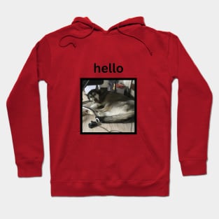 Cute Funny Husky Dog Sleeping Simple Hello Hoodie